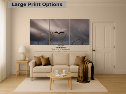 Bald Eagle Picture Wildlife Photography Wall Art, Nature Photo, Bird Photography, Rustic Cabin Decor, Office or Dorm Room Wall Decor