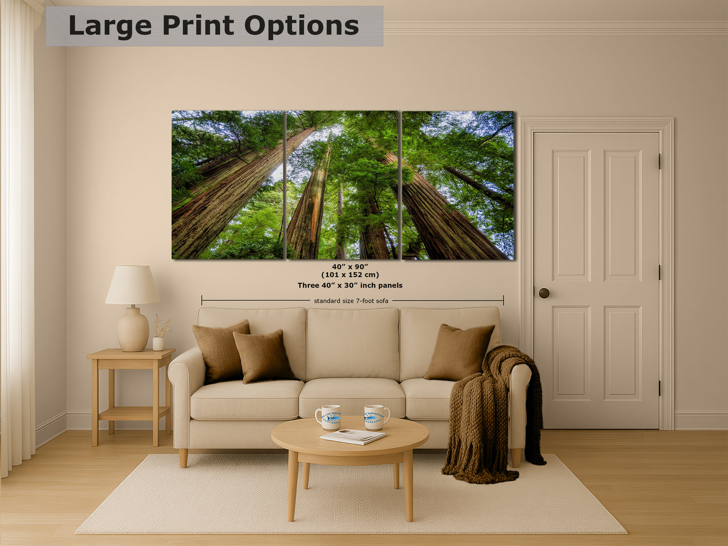 Redwood Trees Forest Picture Nature Photo | Forest Bathing Relaxation Decor for Meditation, House, and Office
