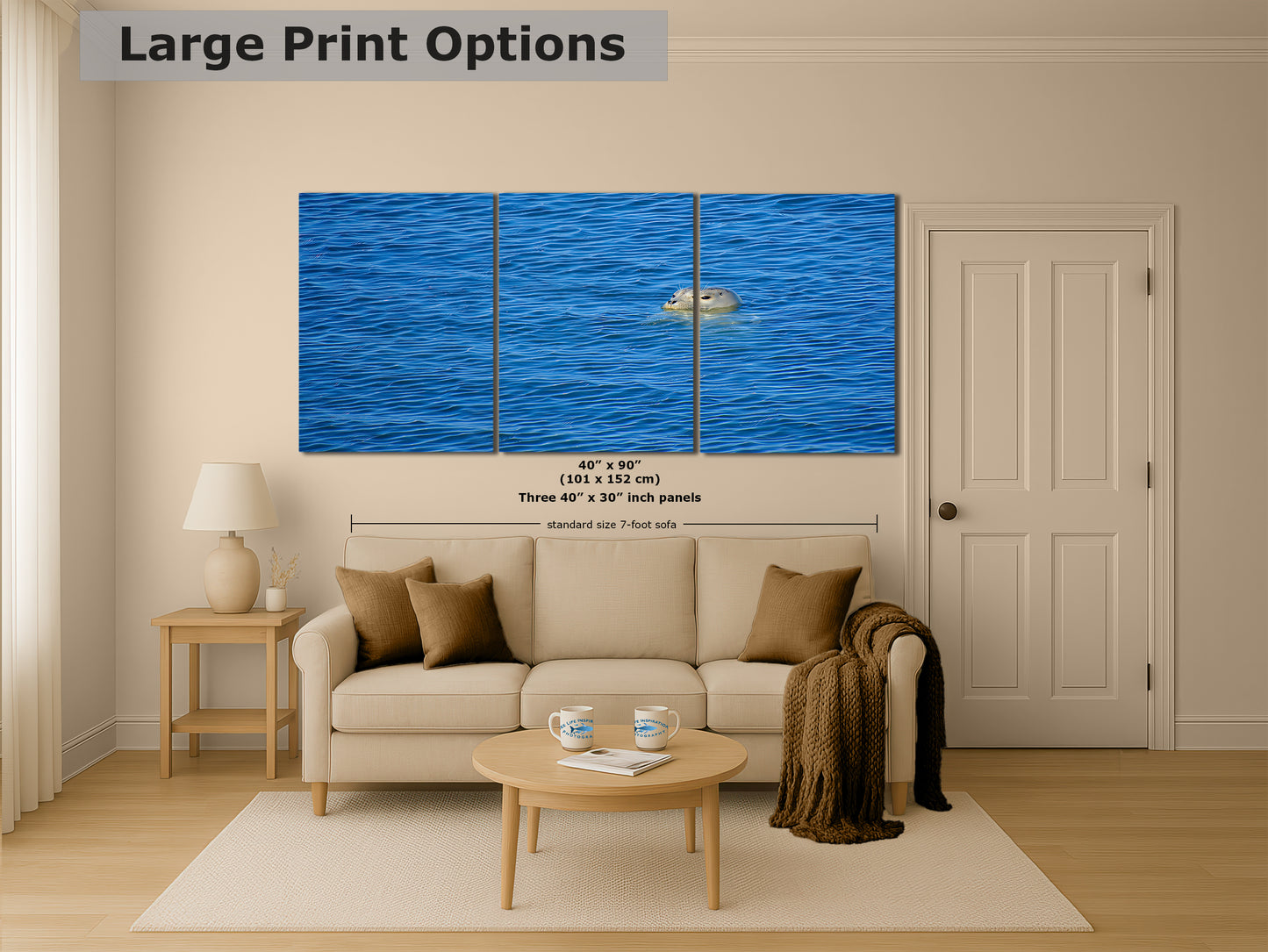 Seal Print Marine Mammal Wildlife Photography, Ocean Picture Relaxation Artwork Nature Photo