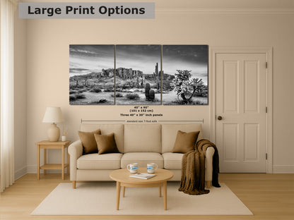 Arizona Desert Picture in Black and White, Saguaro Cactus Artwork Nature Photo, Southwestern Wall Art of Superstition Mountains at Lost Dutchman State Park