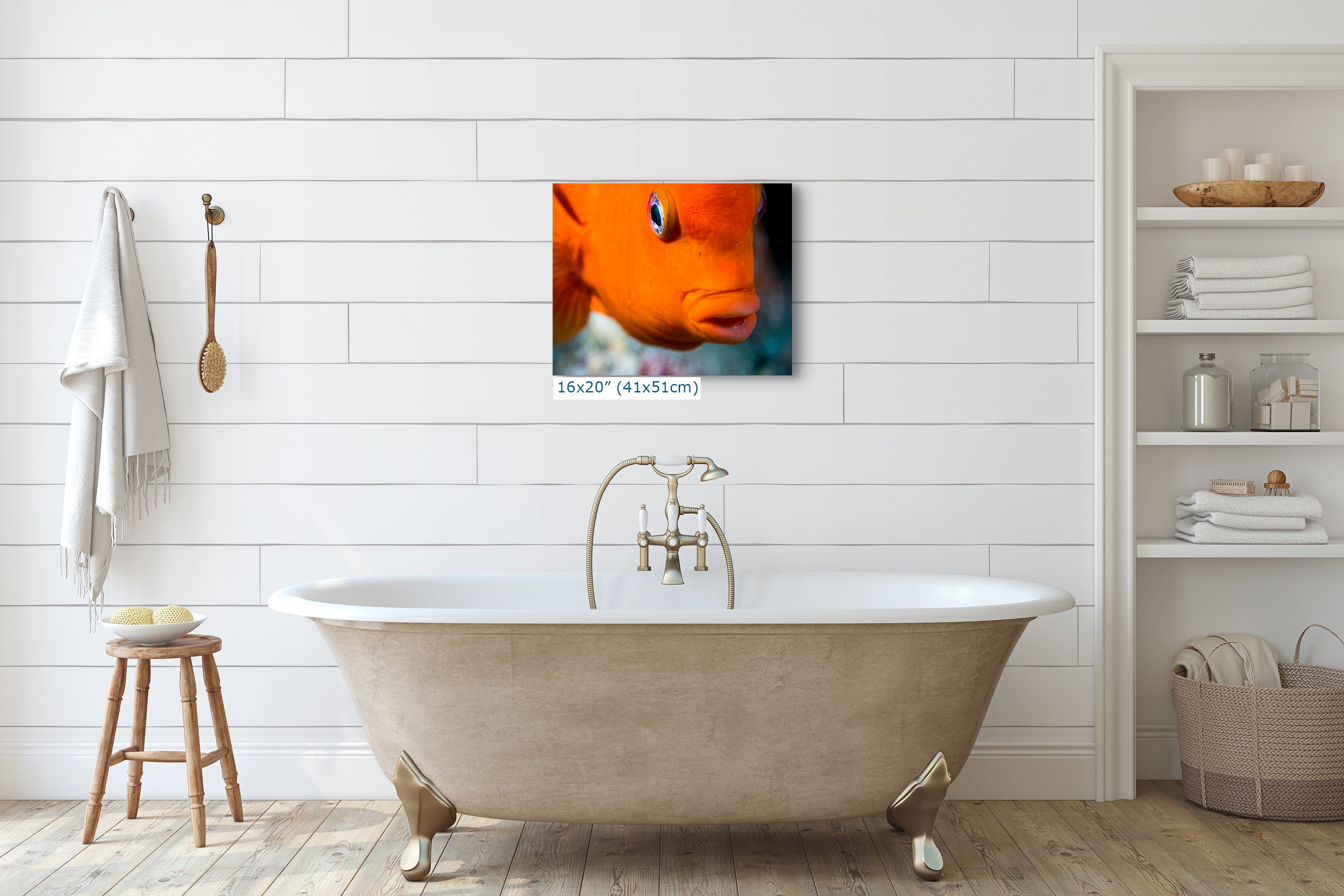 Garibaldi Fish Marine Biology Ocean Life, Underwater Scenery Nature Photo, California Marine Inhabitant, Nature Decor, Relaxation Artwork