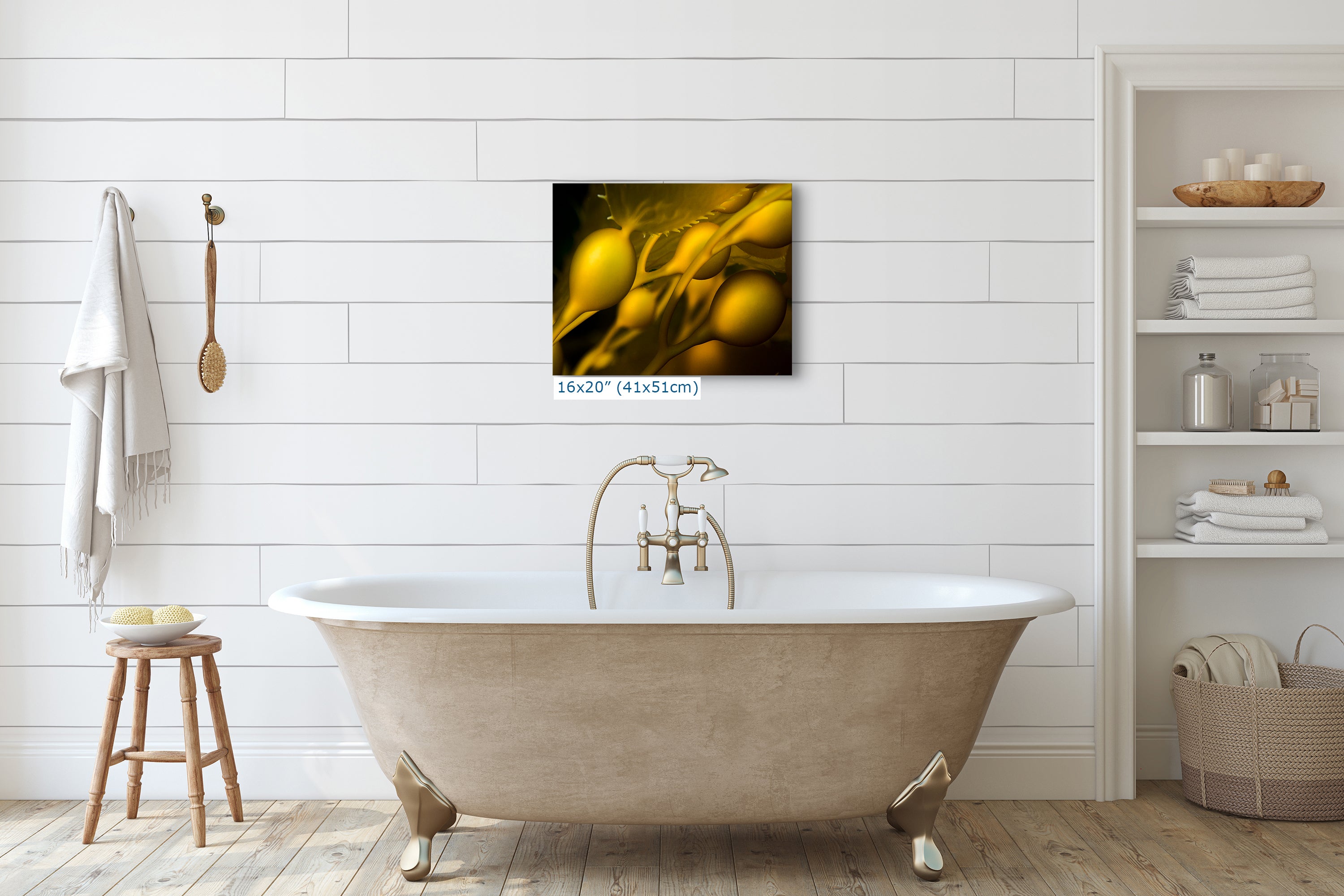 Kelp Forest Seaweed Pictures Underwater Scenery, Ocean Life Marine Biology Nature Photo Relaxation Artwork Decor for Office Dorm Room Decor