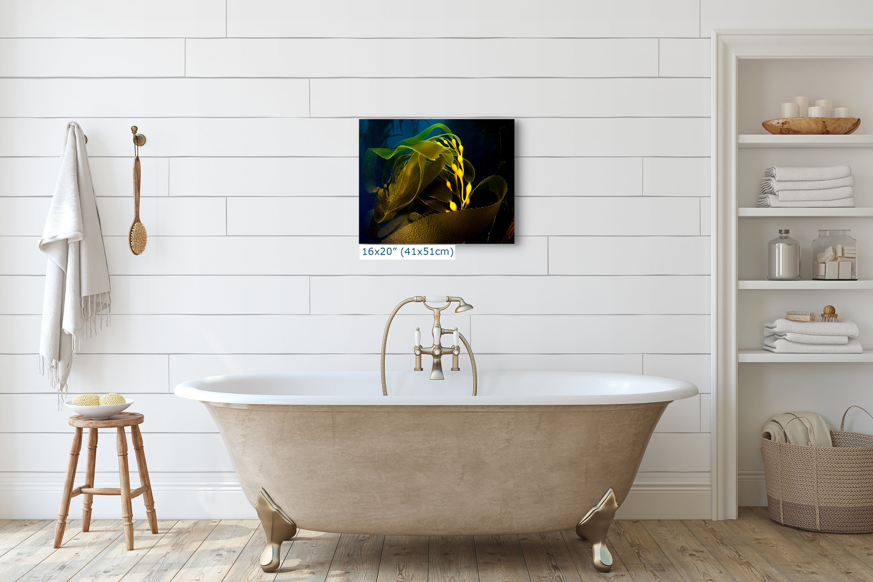 Kelp forest seaweed pictures underwater scenery, ocean life marine biology art, relaxation decor, ocean lover gift, deep sea nature photo