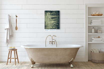 Aspen Tree Forest Picture Nature Photo, Forest Bathing Relaxation Artwork, Rustic Wall Art for Bedroom, Office, & House Decor
