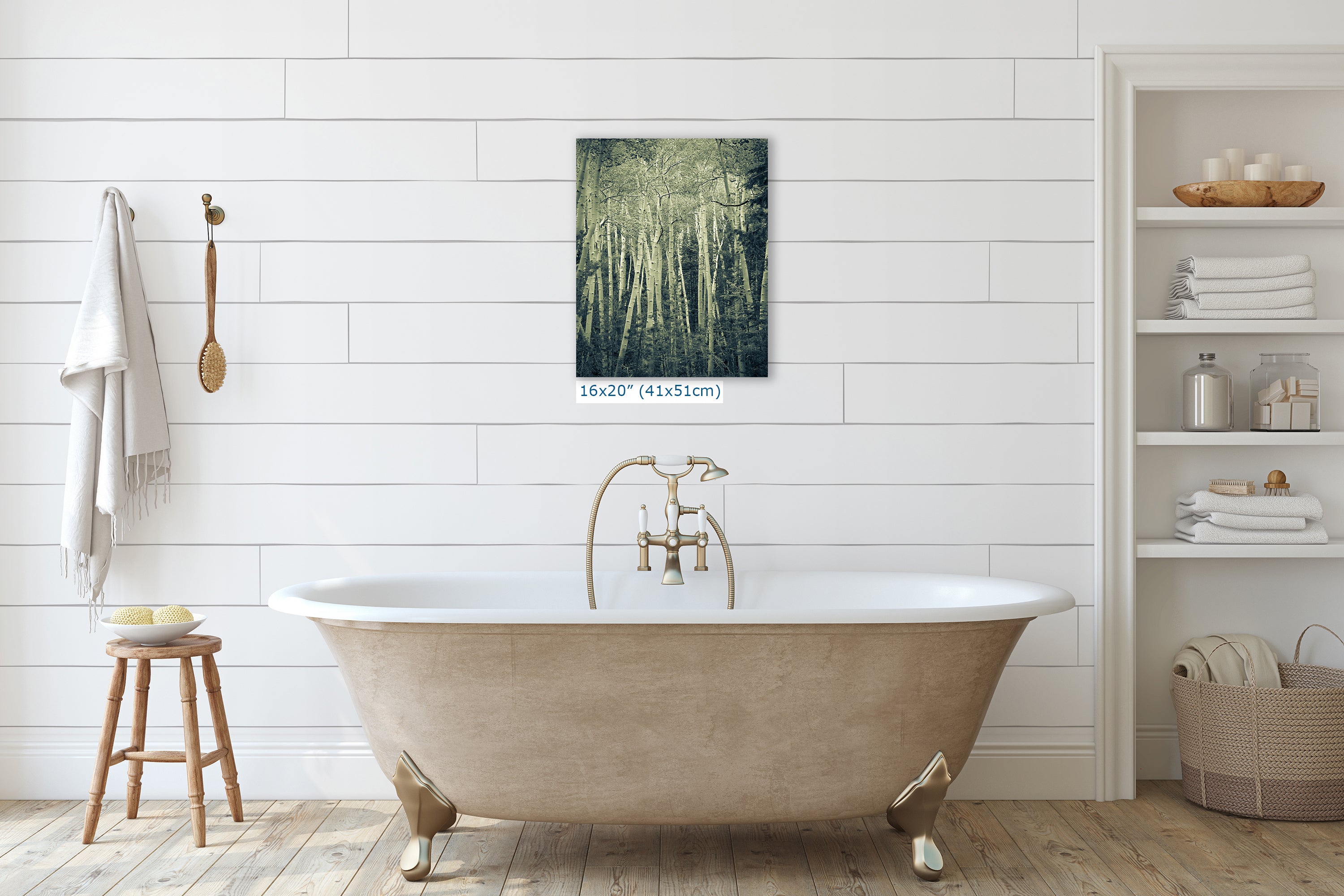 Aspen Tree Forest Picture Nature Photo, Forest Bathing Relaxation Artwork, Rustic Wall Art for Bedroom, Office, & House Decor