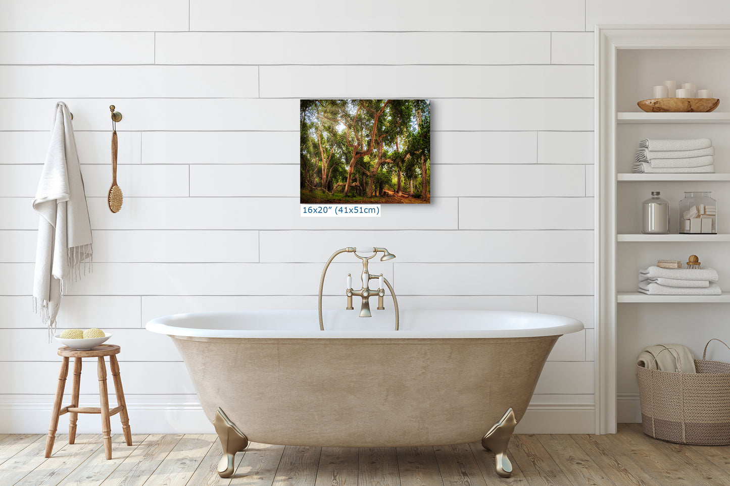 Coast Live Oak Forest Picture Nature Photo House Decor, Forest Bathing for Meditation, Relaxation, Dorm Room Decor