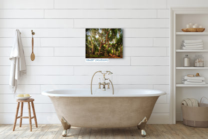 Coast Live Oak Forest Picture Nature Photo House Decor, Forest Bathing for Meditation, Relaxation, Dorm Room Decor