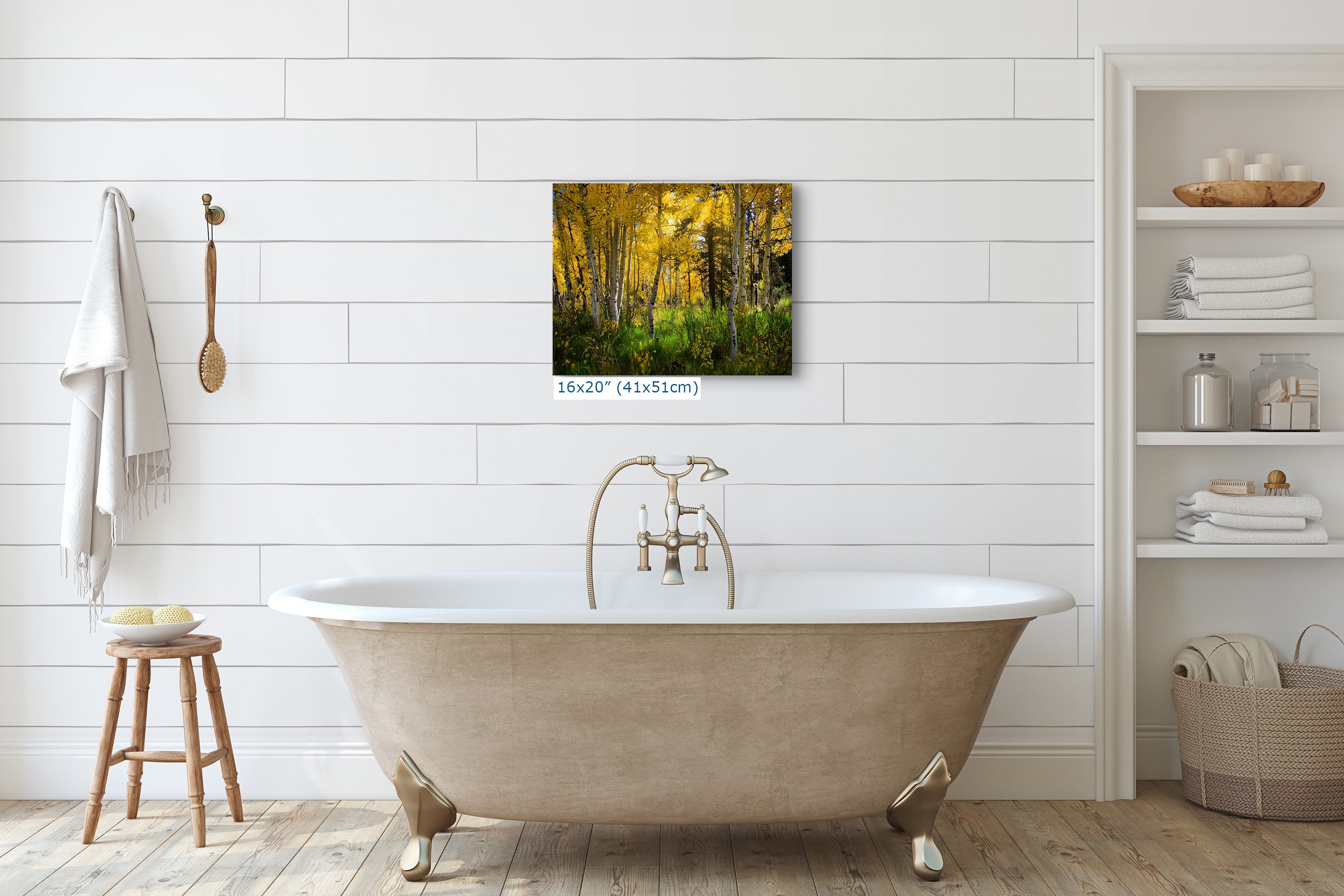 Aspen Tree Forest Picture Nature Photo, Forest Bathing Relaxation Artwork, Fall Colors Autumn for Meditation, Office and House Decor