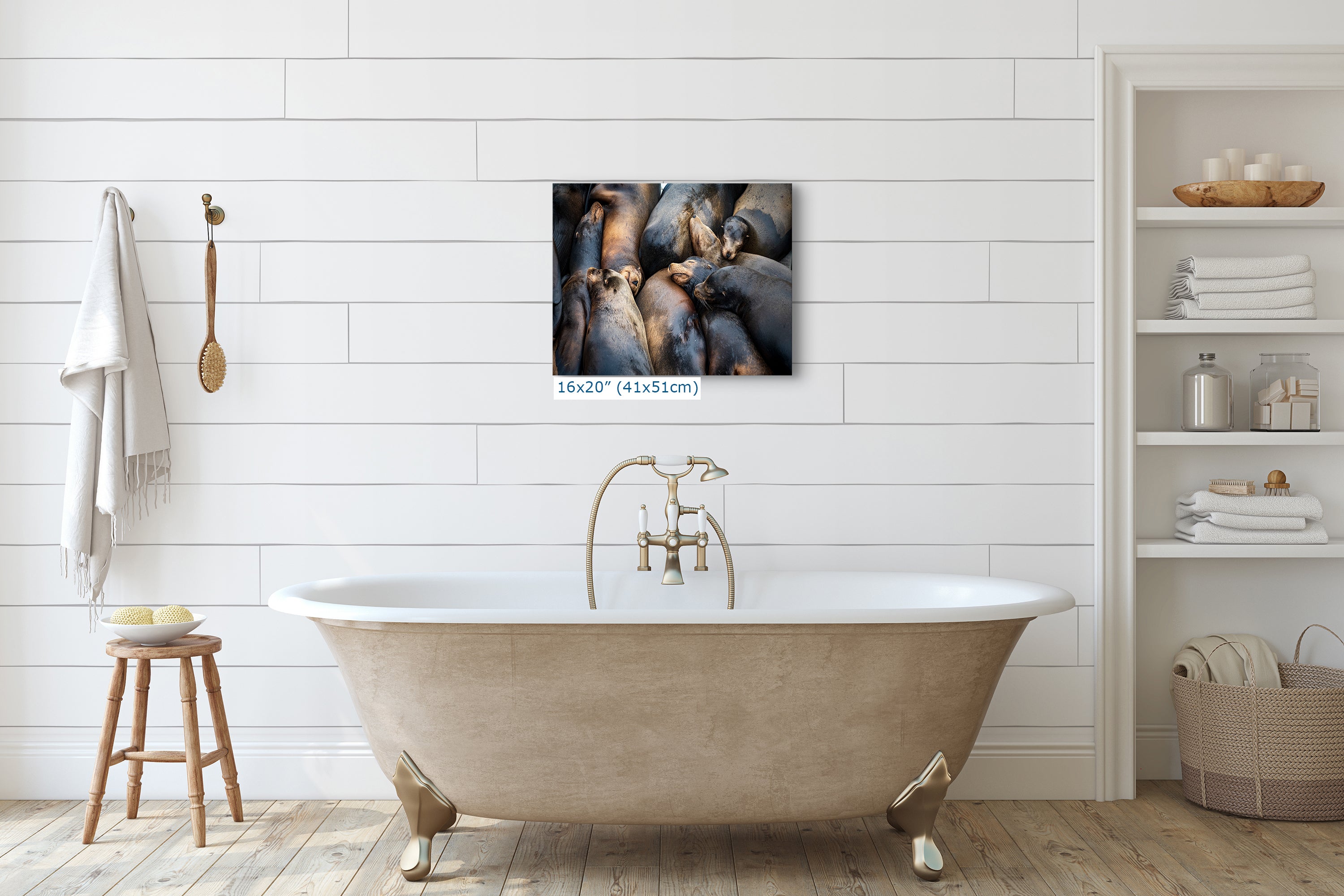 California Sea Lion Marine Mammal Wildlife Photography, Ocean Animals Nursery Decor, Relaxation Artwork for Beach-Themed Rooms