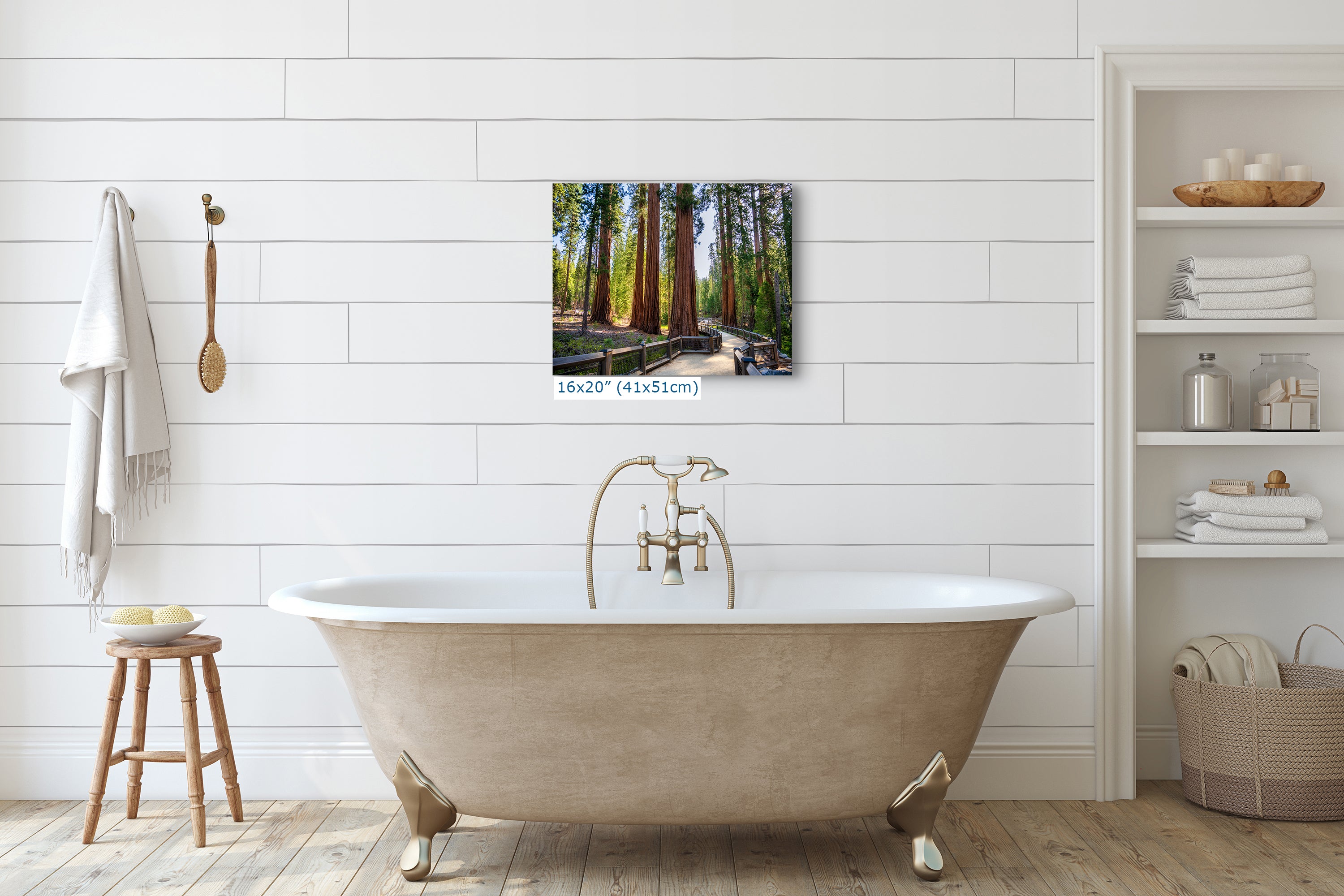 Giant Sequoia Tree Forest Picture Nature Photo | Yosemite Redwood Trees for Nature Lovers & Forest Bathing Relaxation, Meditation Artwork