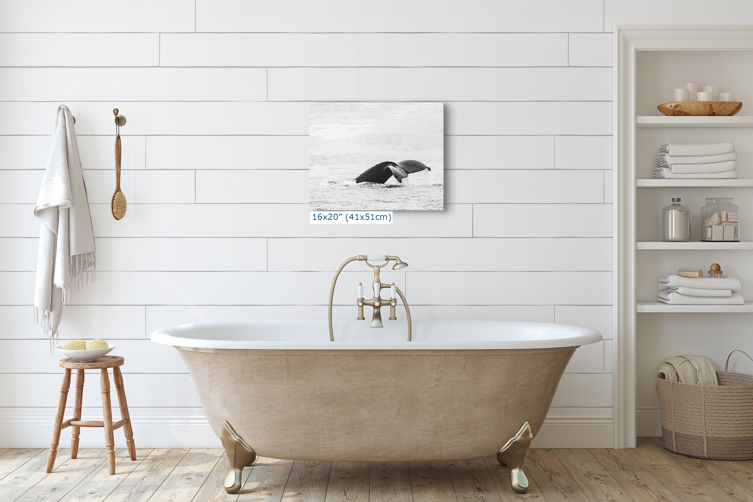 Humpback Whale Marine Mammal Wildlife Photography, Black and White, Monterey Bay Ocean Scene Art Print for Nature Lovers and Marine Conservation Decor