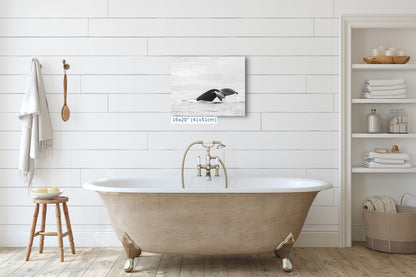 Humpback Whale Marine Mammal Wildlife Photography, Black and White, Monterey Bay Ocean Scene Art Print for Nature Lovers and Marine Conservation Decor