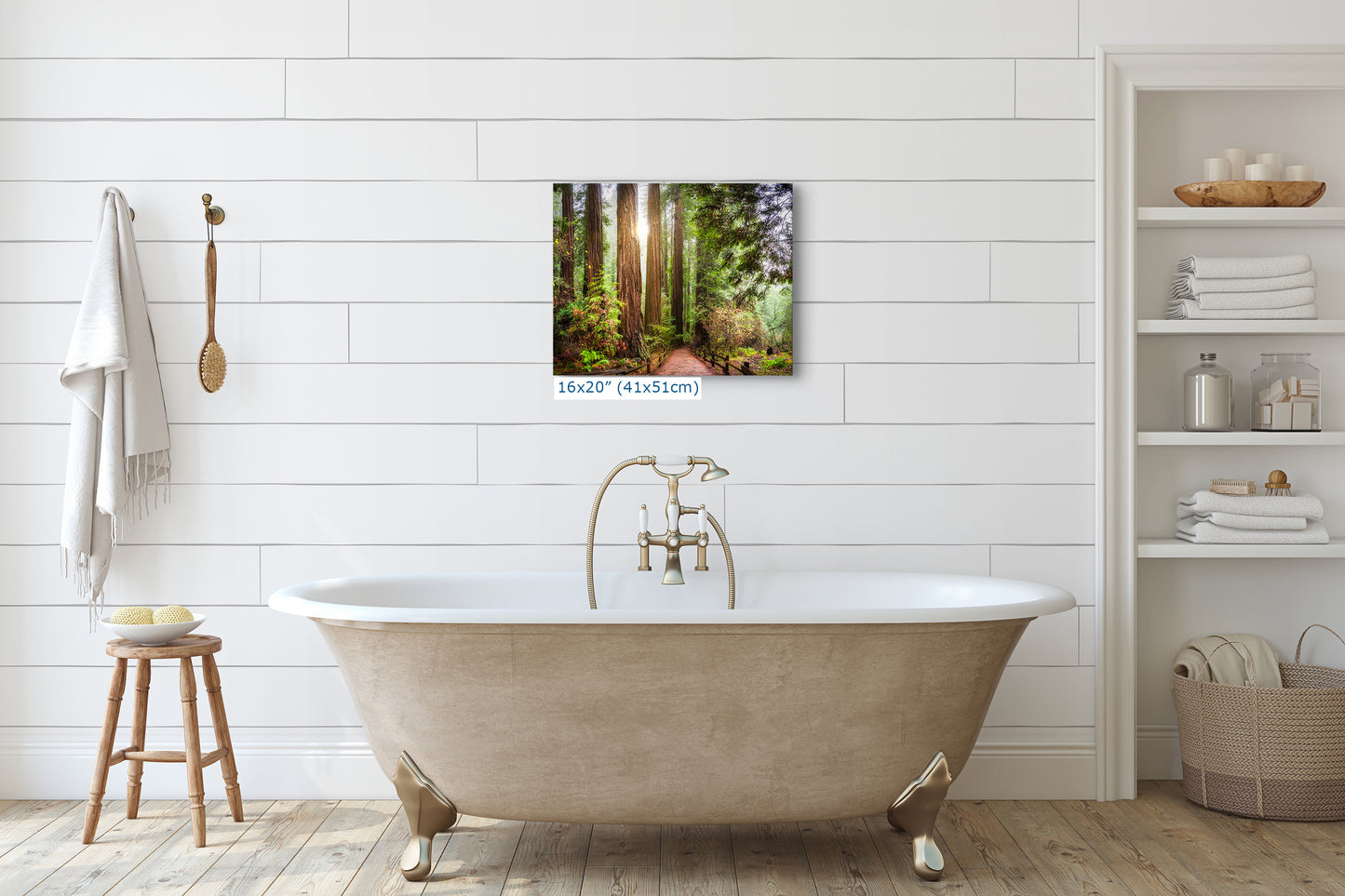 Redwood Trees Forest Picture Nature Photo, Forest Bathing in Muir Woods Wall Art for House Decor Gifts for Tree & Nature Lovers