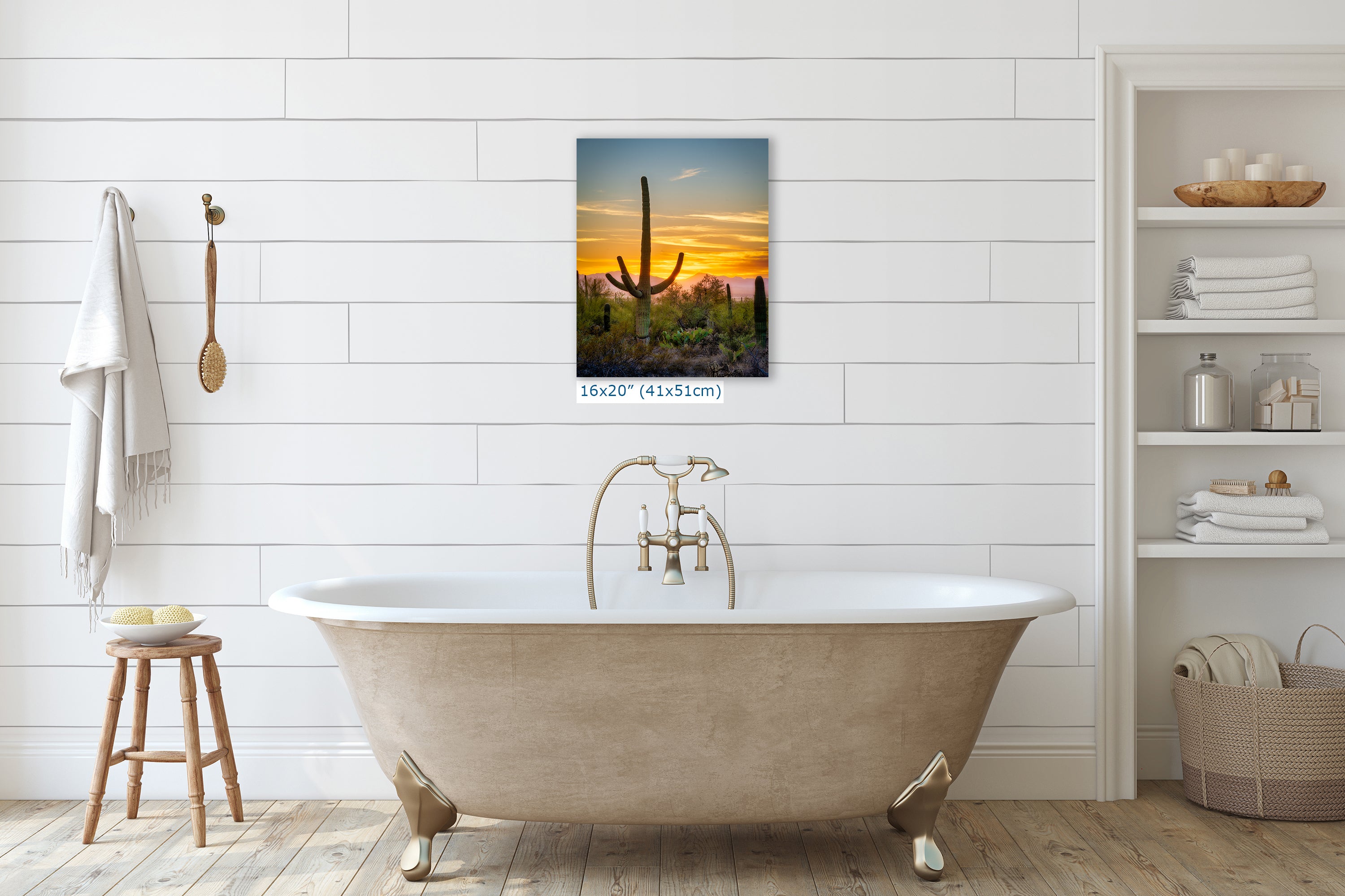 Saguaro National Park Arizona Desert Picture Nature Photo, Bohemian Style Relaxation Artwork, Southwestern Sonoran Desert House Decor