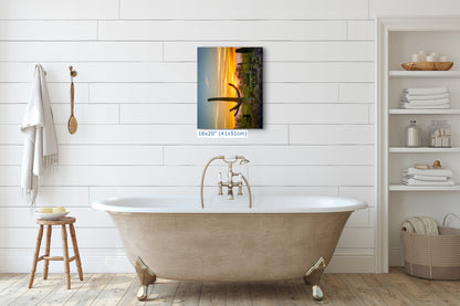 Saguaro National Park Arizona Desert Picture Nature Photo, Bohemian Style Relaxation Artwork, Southwestern Sonoran Desert House Decor