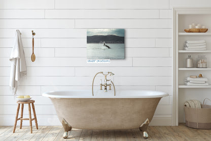 Humpback Whale Marine Mammal Wildlife Photography, Ocean Nature Art, Marine Conservation, Dolphin & Sea Life Gift, House Decor