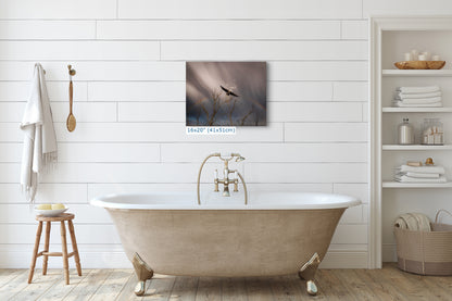 Soaring Bald Eagle Picture Wildlife Photography Wall Art, Nature Photo, Bird Photography, Rustic Cabin Decor, Office or Dorm Room Wall Decor