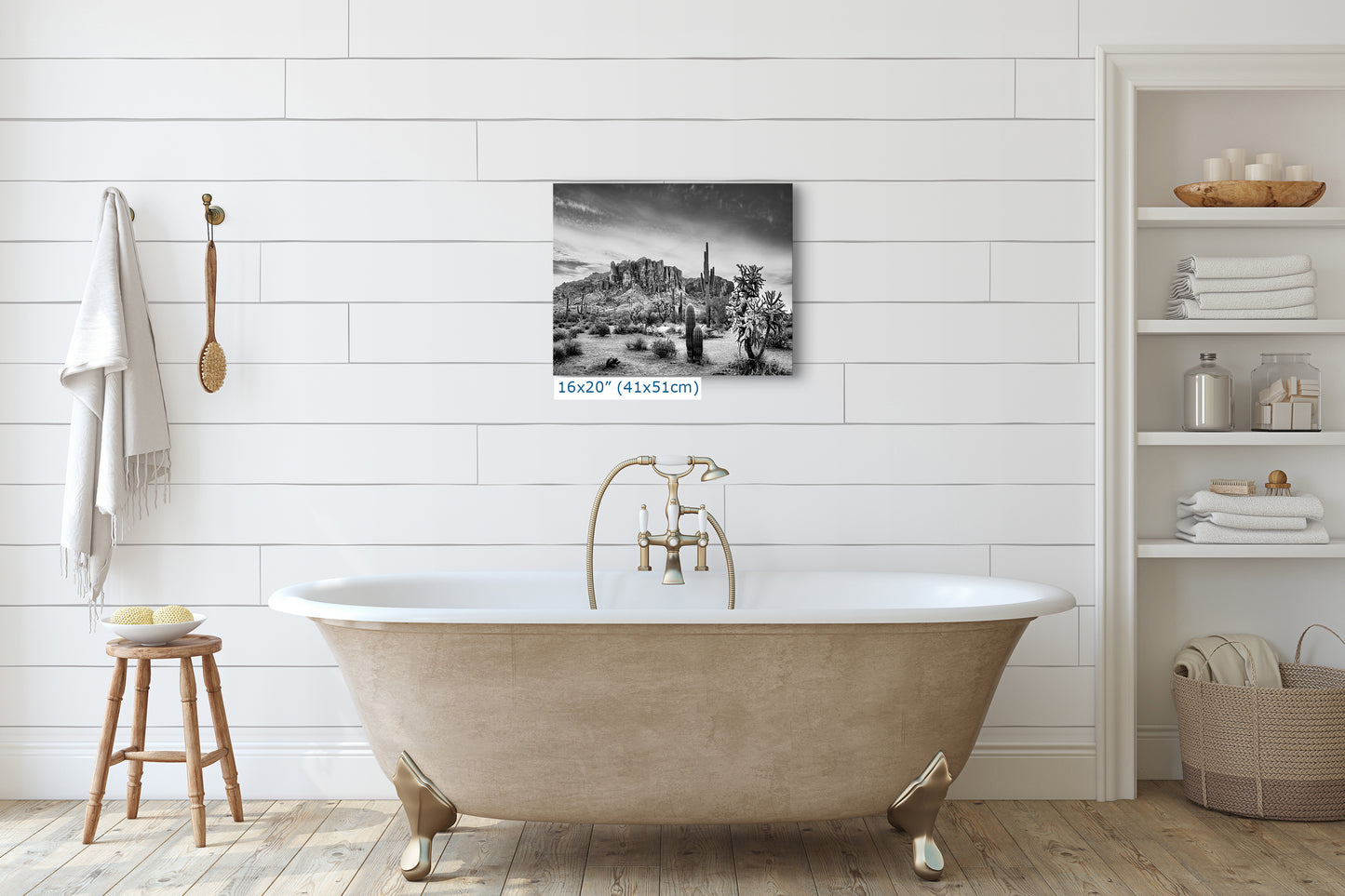 Arizona Desert Picture in Black and White, Saguaro Cactus Artwork Nature Photo, Southwestern Wall Art of Superstition Mountains at Lost Dutchman State Park