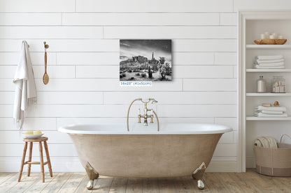 Arizona Desert Picture in Black and White, Saguaro Cactus Artwork Nature Photo, Southwestern Wall Art of Superstition Mountains at Lost Dutchman State Park