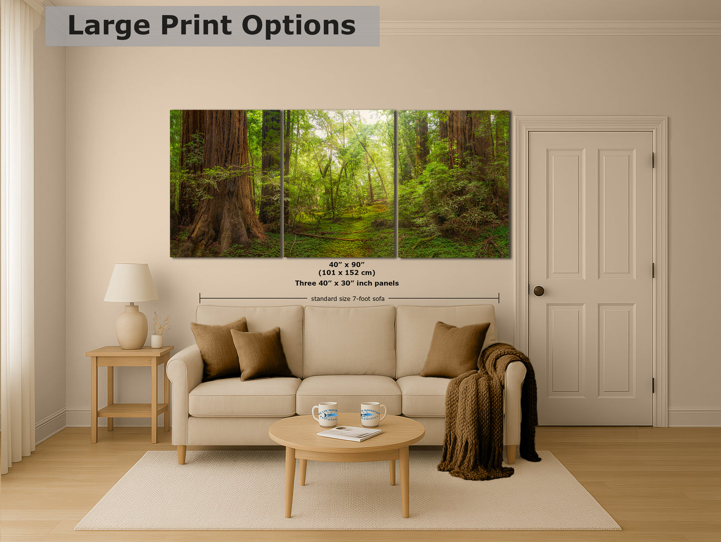 Redwood Tree Wall Art - Panoramic Forest Picture Nature Photo