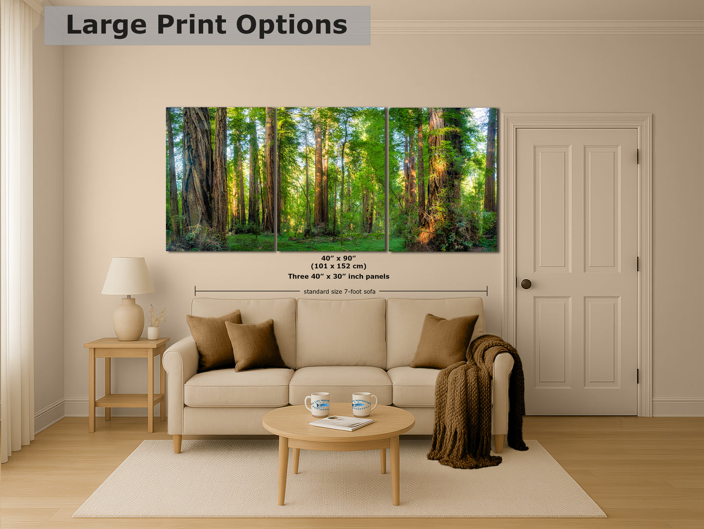 Redwood Trees Forest Picture Nature Photo, Forest Bathing Relaxation Artwork for Calming Meditation, Office and House Decor