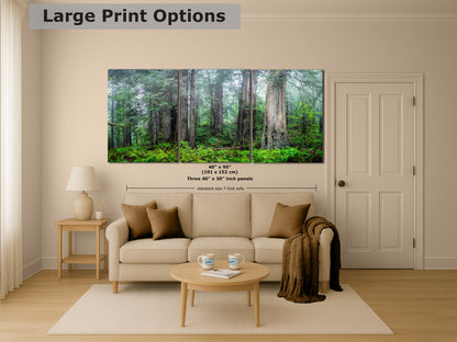Redwood Trees Forest Picture Nature Photo, Forest Bathing in Misty California Redwoods Wall Art, for Relaxation in the Home and Office