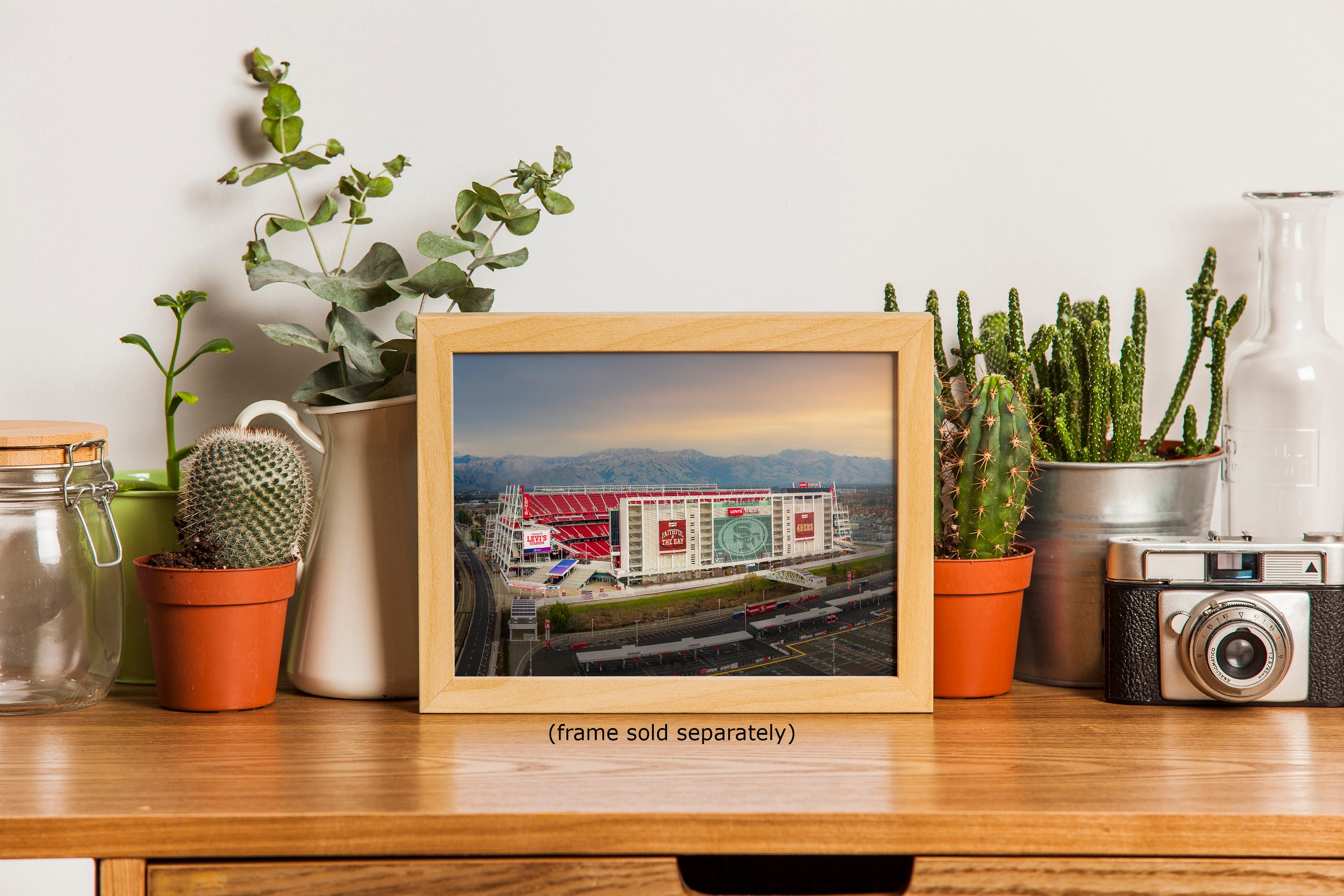 A framed photograph of a stadium is displayed on a wooden surface, surrounded by various potted plants and other decorative items.