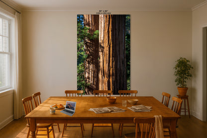 Giant Sequoia Tree Forest Picture Nature Photo, Redwood Trees Wall Art, Forest Bathing National Park Poster, Relaxation Decor