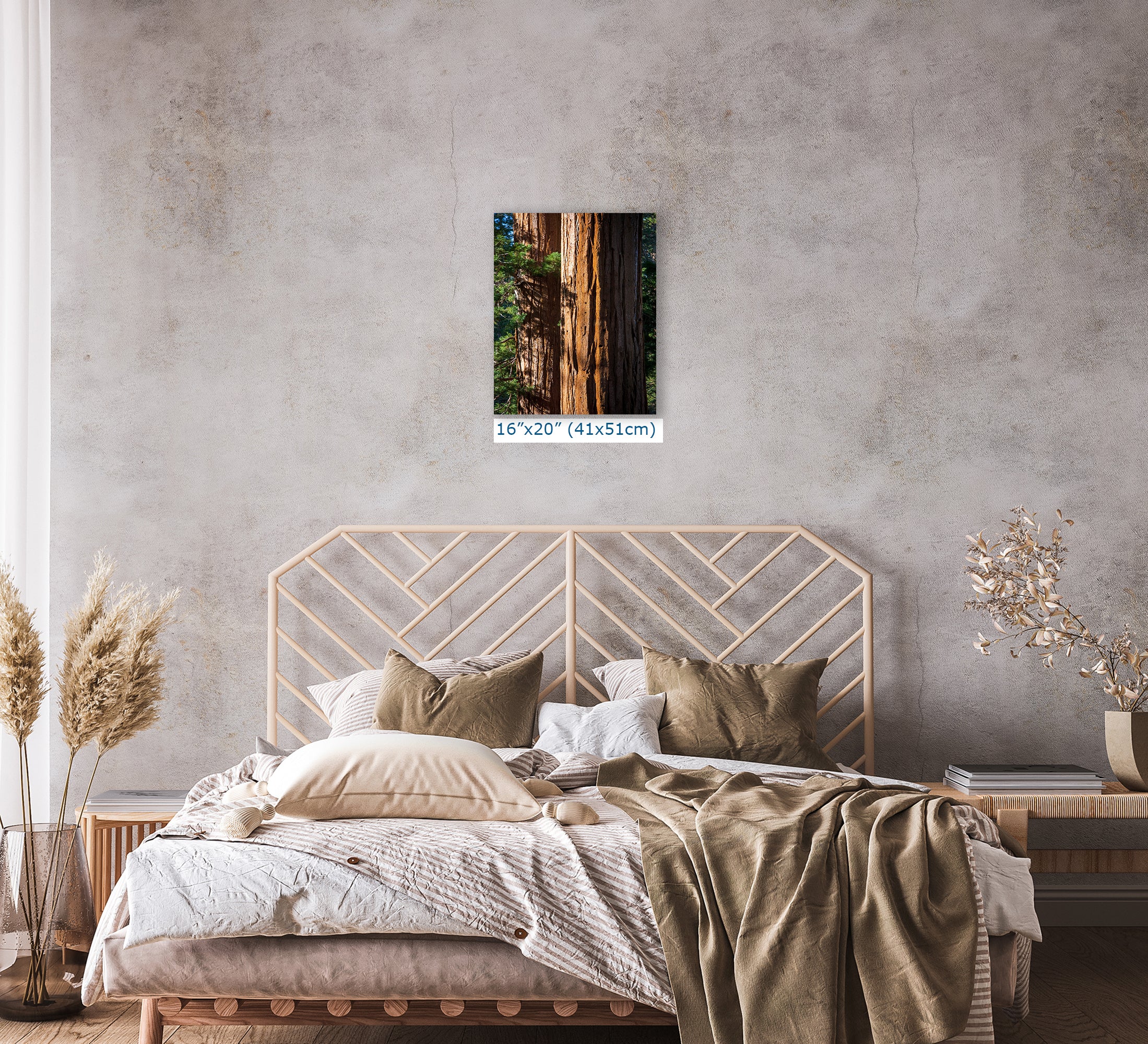 Giant Sequoia Tree Forest Picture Nature Photo, Redwood Trees Wall Art, Forest Bathing National Park Poster, Relaxation Decor