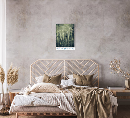Aspen Tree Forest Picture Nature Photo, Forest Bathing Relaxation Artwork, Rustic Wall Art for Bedroom, Office, & House Decor