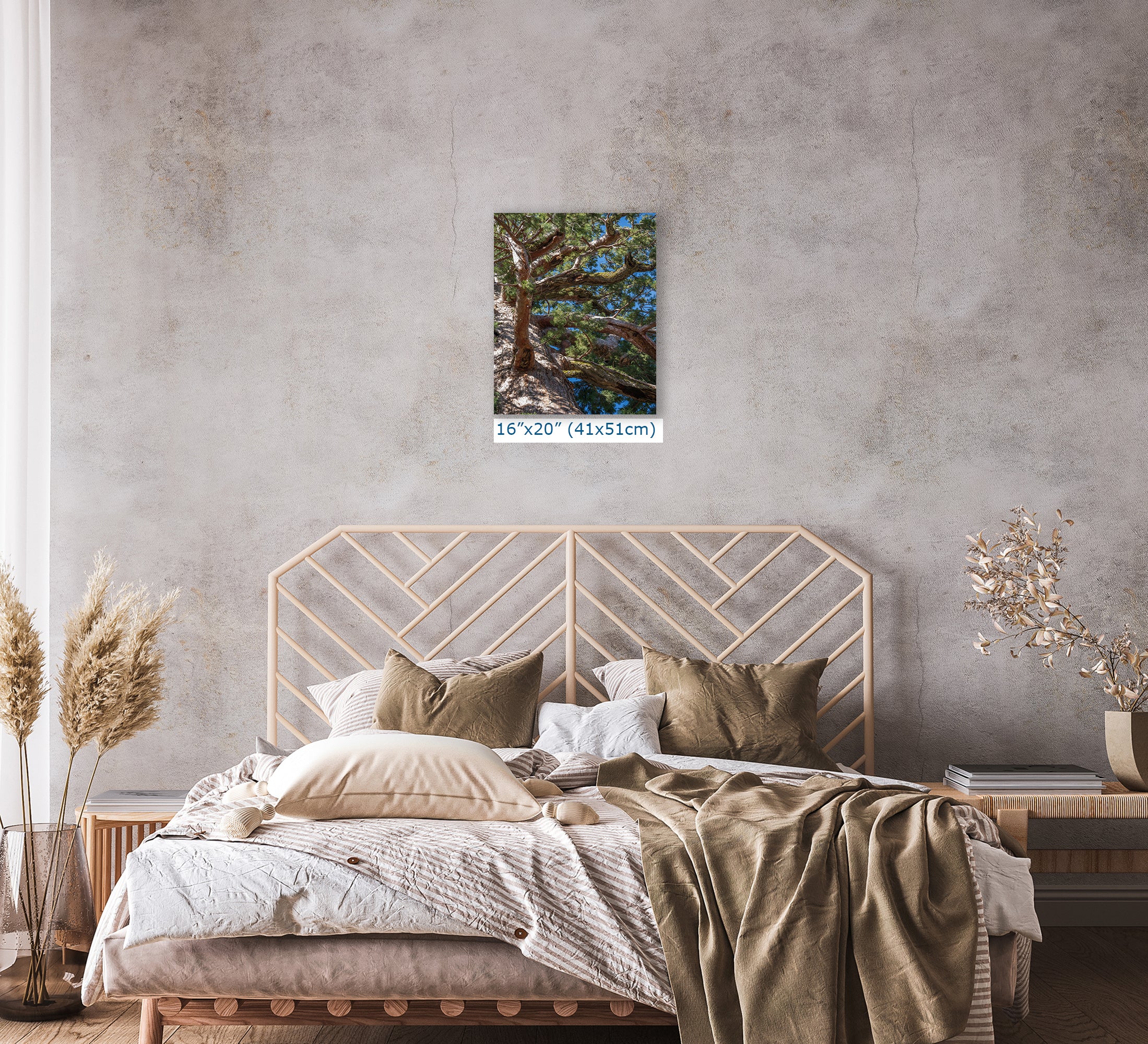 Giant Sequoia Tree Forest Picture Nature Photo, Yosemite Mariposa Grove Redwood Trees, Forest Bathing Relaxation Artwork for Nature Lovers