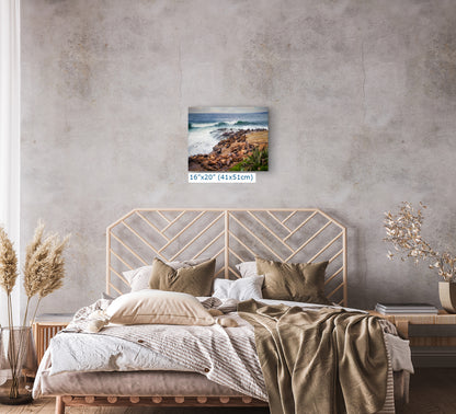 California Sea Lion Marine Mammal Wildlife Photography | Calming Nature Ocean Picture, Relaxation Artwork, La Jolla Coast, Nature Photo