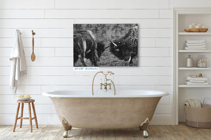 Buffalo Artwork Wildlife Photography, Black and White Bison Wall Decor, Rustic Cabin Animal Print, Nature Wall Art for Home or Office