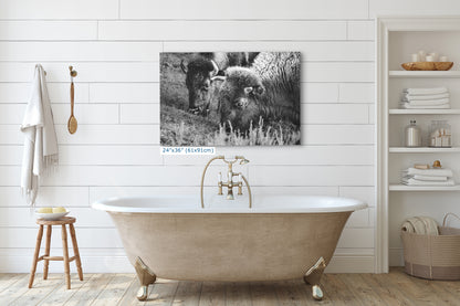 Grazing Buffalo Artwork Wildlife Photography, Black and White Bison Wall Decor, Rustic Cabin Animal Print, Nature Wall Art for Home or Office