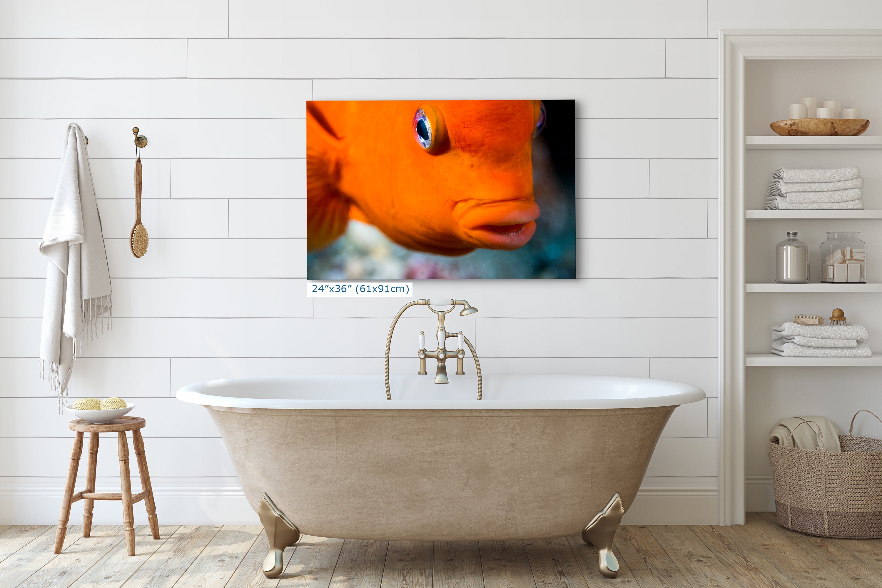 Garibaldi Fish Marine Biology Ocean Life, Underwater Scenery Nature Photo, California Marine Inhabitant, Nature Decor, Relaxation Artwork
