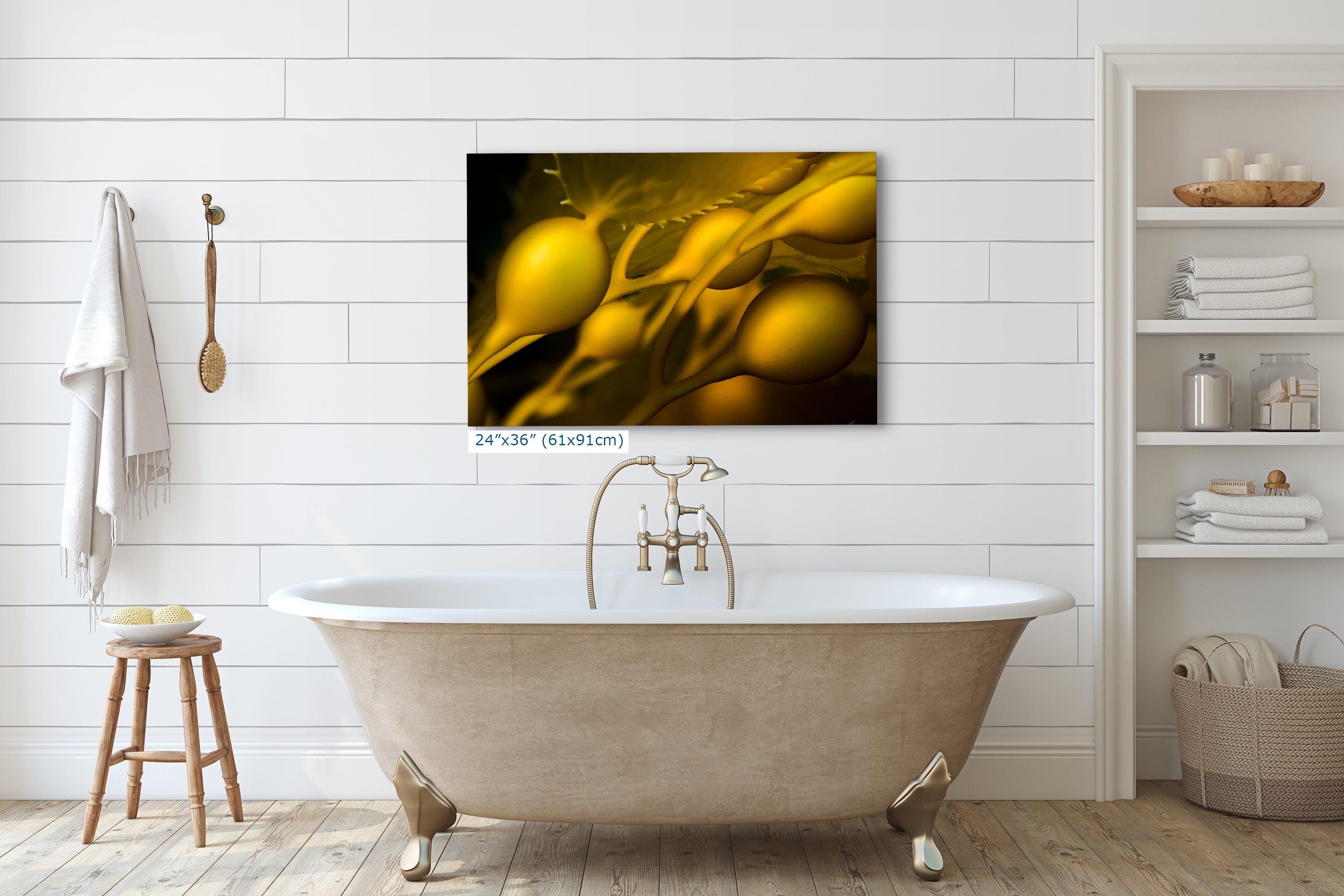 Kelp Forest Seaweed Pictures Underwater Scenery, Ocean Life Marine Biology Nature Photo Relaxation Artwork Decor for Office Dorm Room Decor