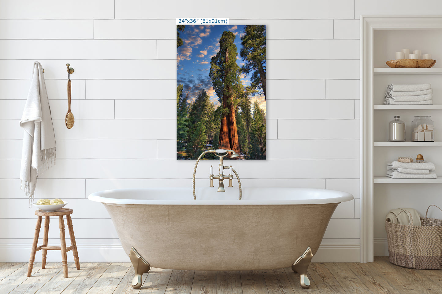 Giant Sequoia Tree Art, Redwood Forest Picture, Nature Photo Inspired Wall Decor