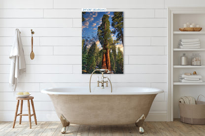 Giant Sequoia Tree Art, Redwood Forest Picture, Nature Photo Inspired Wall Decor