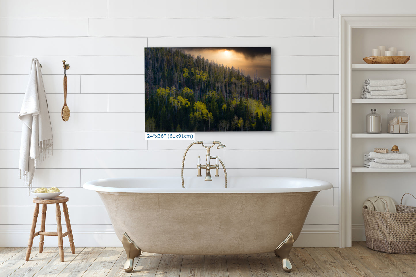 Aspen Tree Forest Picture Nature Photo, Forest Bathing Relaxation Artwork Dopamine Decor for Meditation, Bedroom, Living Room, and Office