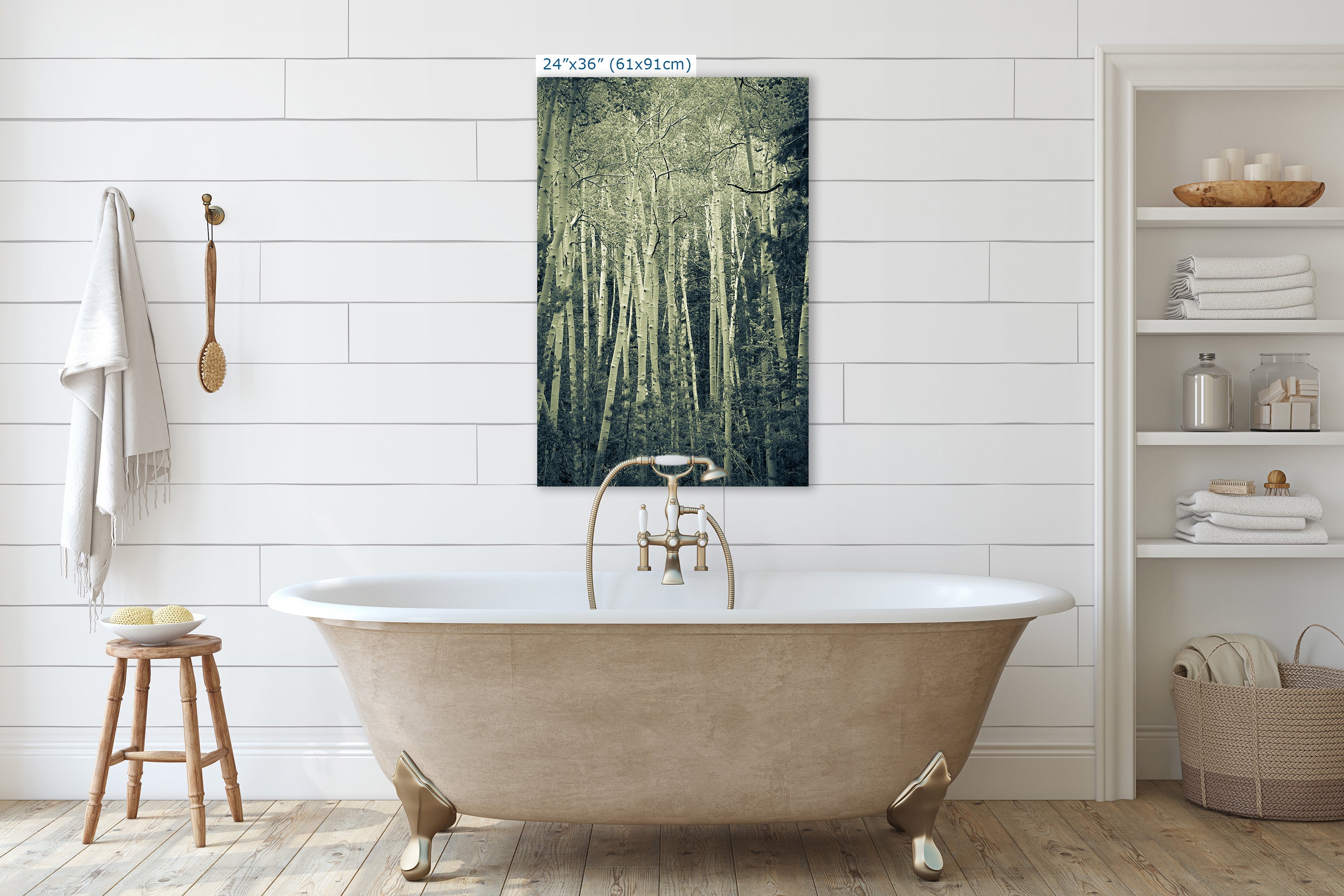 Aspen Tree Forest Picture Nature Photo, Forest Bathing Relaxation Artwork, Rustic Wall Art for Bedroom, Office, & House Decor