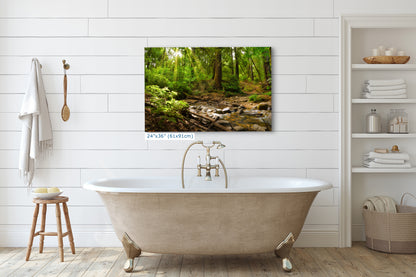 Redwood Trees Forest Picture Nature Photo, Forest Bathing in Santa Cruz California Coast Wall Art, Relaxing Artwork for House Decor & Office