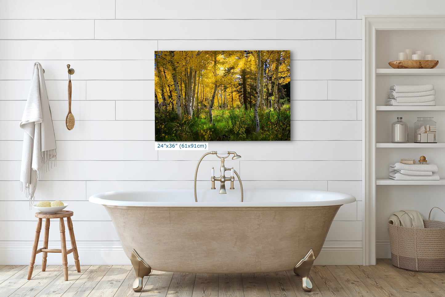 Aspen Tree Forest Picture Nature Photo, Forest Bathing Relaxation Artwork, Fall Colors Autumn for Meditation, Office and House Decor