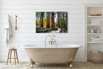 Giant Sequoia Tree Forest Picture Nature Photo | Yosemite Redwood Trees for Nature Lovers & Forest Bathing Relaxation, Meditation Artwork