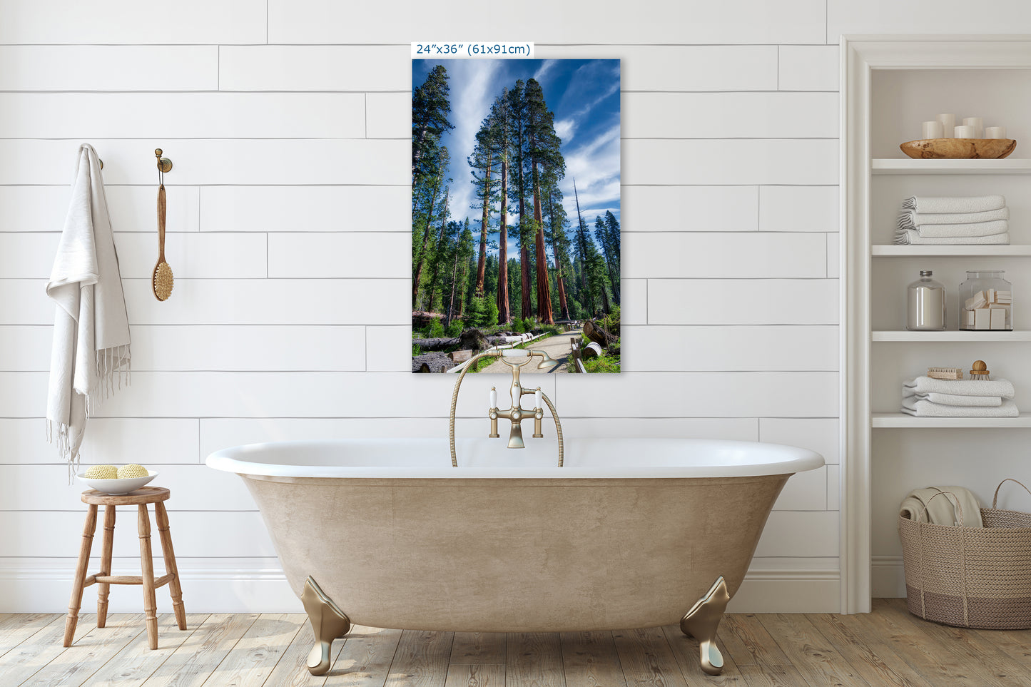 Giant Sequoia Tree Forest Picture Nature Photo, Redwood Trees Forest Bathing Decor, Relaxation Artwork for Home or Office