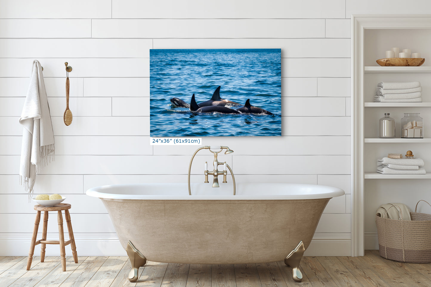 Orca Whale Marine Mammal Wildlife Photography, Killer Whale Ocean Art Print for Nature Lovers and Ocean Enthusiasts