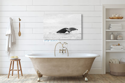 Humpback Whale Marine Mammal Wildlife Photography, Black and White, Monterey Bay Ocean Scene Art Print for Nature Lovers and Marine Conservation Decor