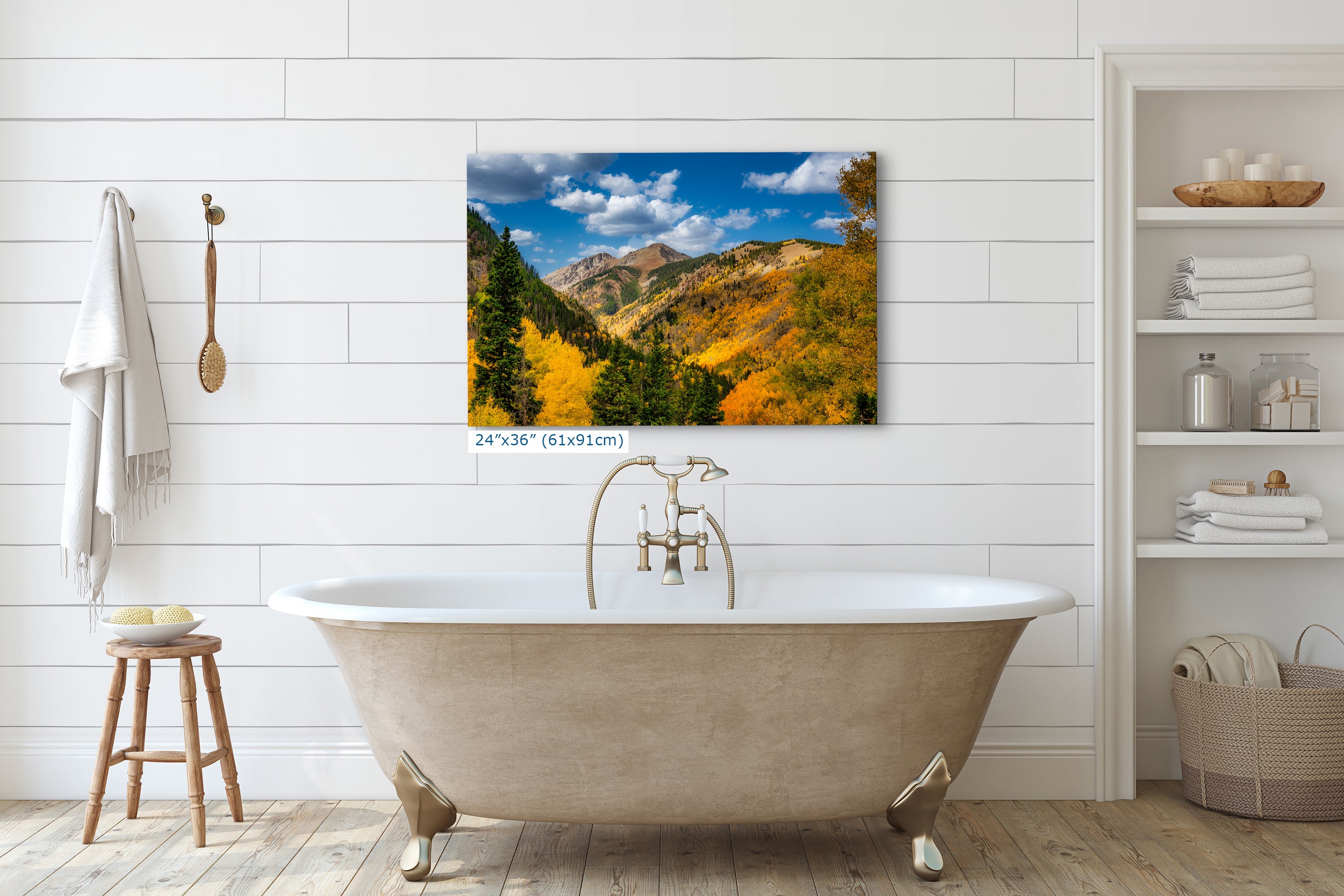 Colorado San Juan Mountains Picture, Fall Colors Nature Photo of Aspen Trees  for Relaxation Meditation and Home Decor