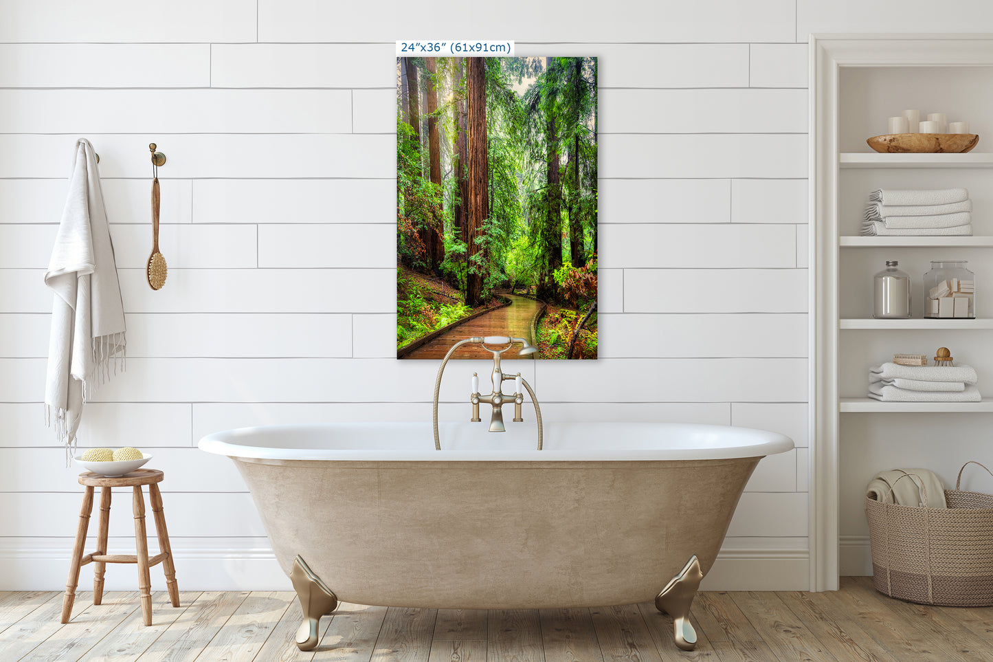 Redwood Trees Forest Picture Sunrise Nature Photo, Forest Bathing House Decor, Relaxing Wall Art for Meditation, Home and Office