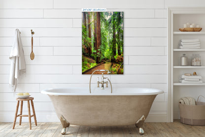 Redwood Trees Forest Picture Sunrise Nature Photo, Forest Bathing House Decor, Relaxing Wall Art for Meditation, Home and Office