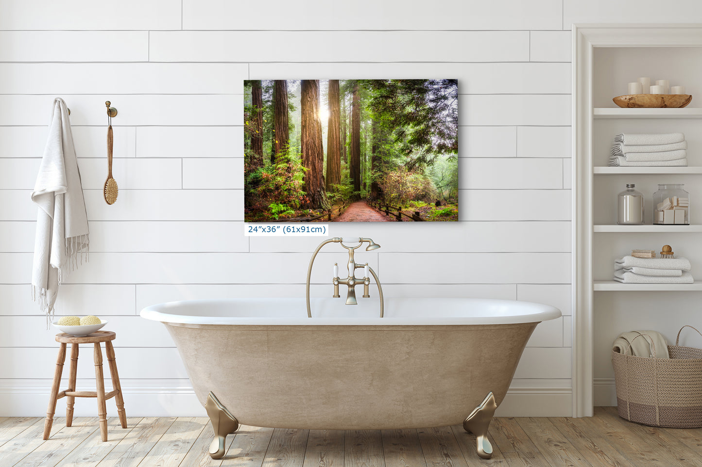 Redwood Trees Forest Picture Nature Photo, Forest Bathing in Muir Woods Wall Art for House Decor Gifts for Tree & Nature Lovers